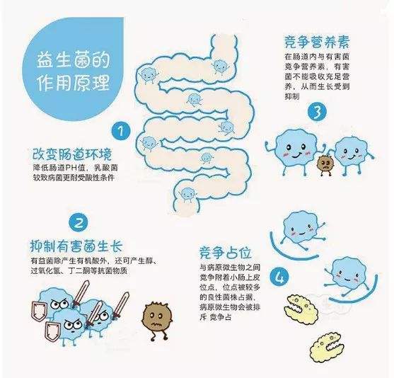兒童免疫力調(diào)節(jié)