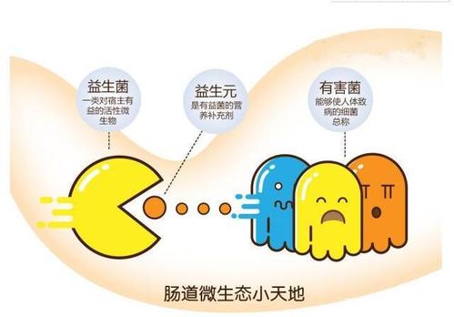 龍氏益生元長期服用會有什么作用?坤宇實業(yè)為你