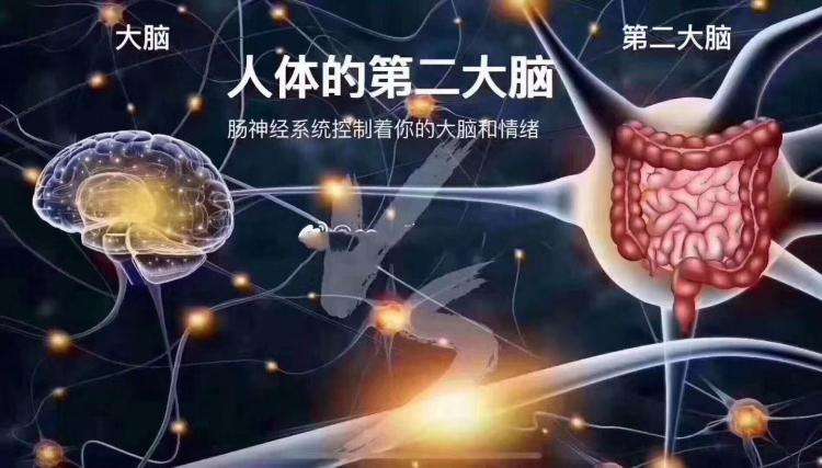 龍氏益生元