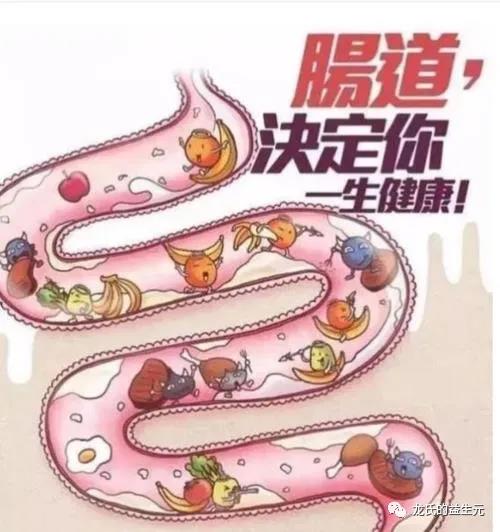 兒童厭食偏食