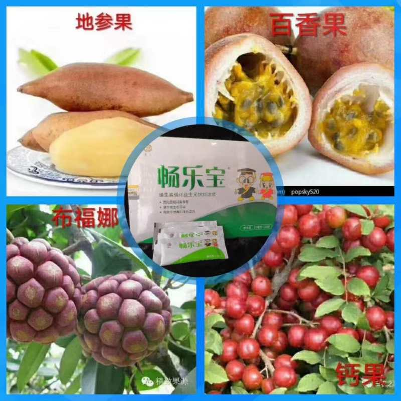 兒童免疫力調(diào)節(jié)