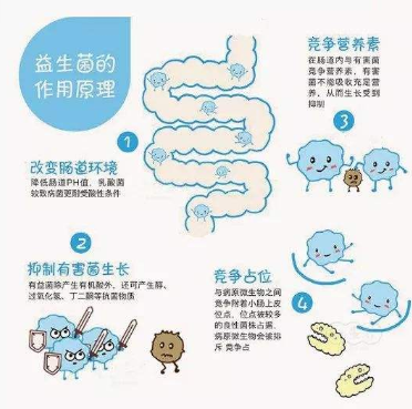 龍氏益生元